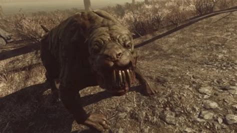 Fallout 76: Mutant Hound Locations