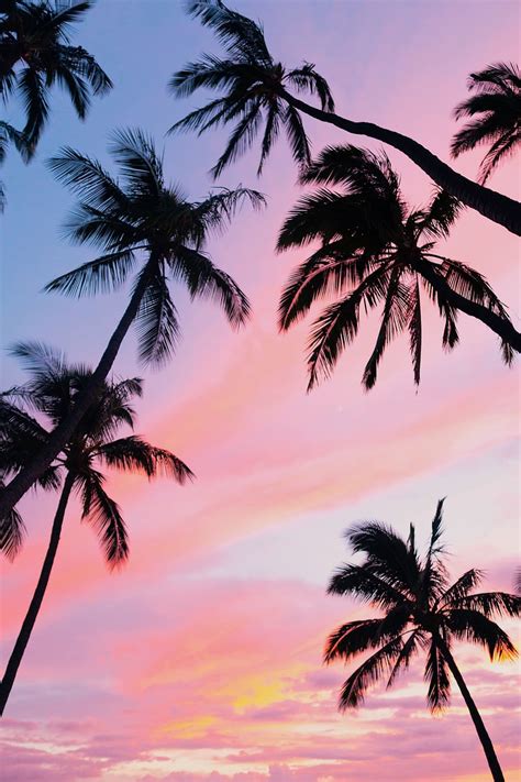 2880x1800px | free download | HD wallpaper: sky, pink, sunset, hawaii ...