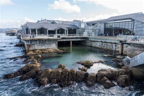 Monterey Bay Aquarium: One of the Best Aquariums in the World ...