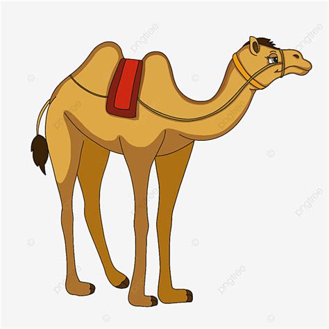 Desert Camel Clipart