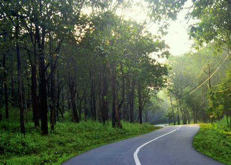 Explore & Experience Wayanad in Kerala - UnCrushedLeaves