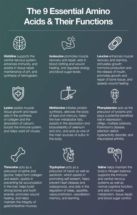 The 9 Essential Amino Acids and Why We Need Them (2022)