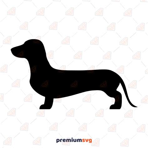 Dachshund Svg Free | ubicaciondepersonas.cdmx.gob.mx