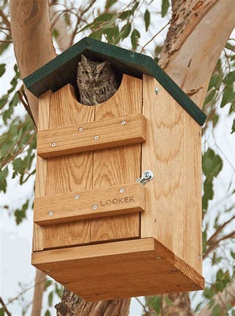 Screech Owl Nesting Box Also for Kestrels & Flickers Wood Bird House ...