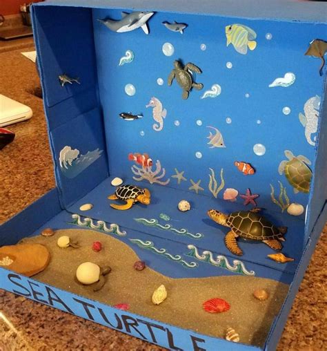 13 Easy and Creative Diorama Ideas For School Projects - No More Still