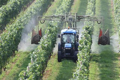 Loi de modernisation de l'agriculture et de la pêche : ne pas faire l ...