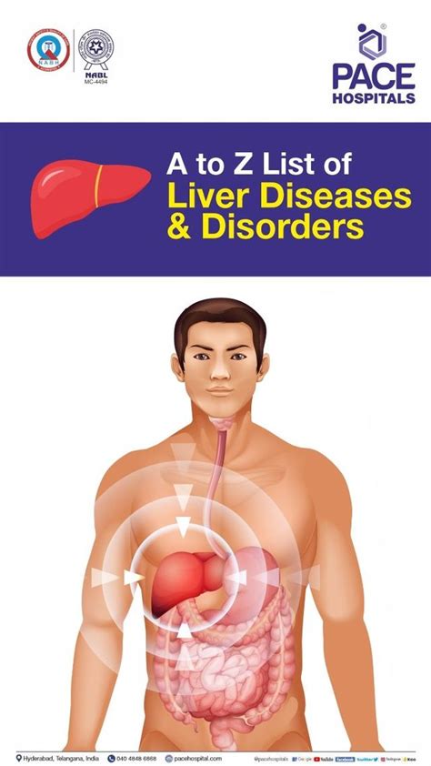 What Causes Poor Liver Function: Uncovering The Culprits