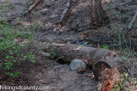 Doane Valley Nature Trail (Palomar Mountain State Park) - Hiking San ...