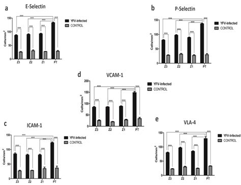 Graphics for immunohistochemical analysis positive for (a) E-selectin ...