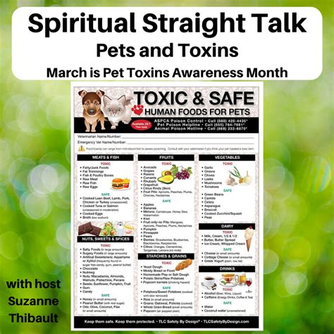 Episode 92 – Pets and Toxins - Soul Safari - Suzanne Thibault