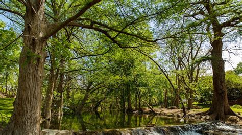 Wimberley Vacation Rentals, Texas: house rentals & more | Vrbo