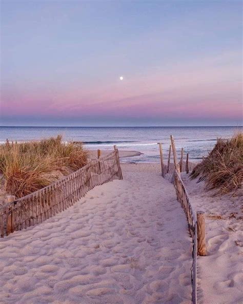 25 Perfect pink aesthetic wallpaper beach You Can Use It Without A ...