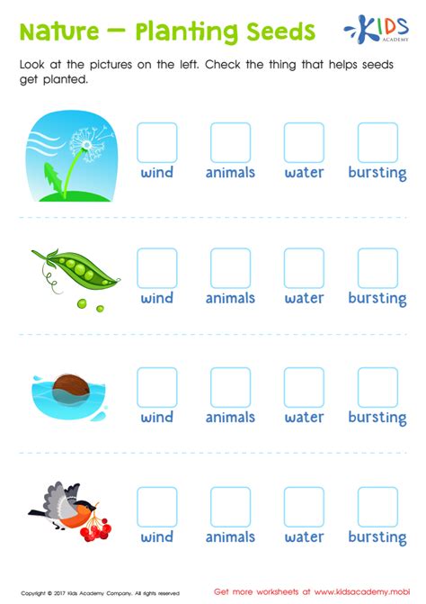 Nature Planting Seeds Worksheet: Free Printable PDF for Kids - Answers ...