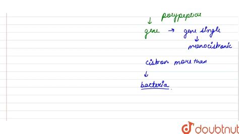 Define a cistron. Giving examples differentiate between monocistronic