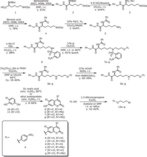 Synthesis of various LSD1 artificial substrates. | Download Scientific ...