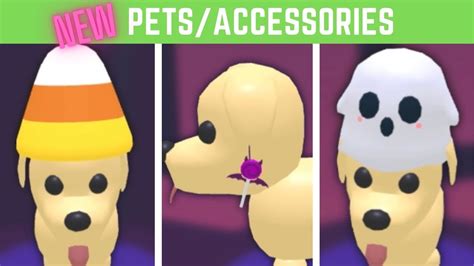 NEW Adopt Me Halloween PETS / ACCESSORIES!! - YouTube