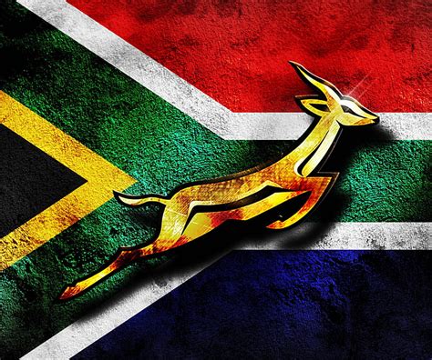 Springbok, rugby, south africa, HD wallpaper | Peakpx