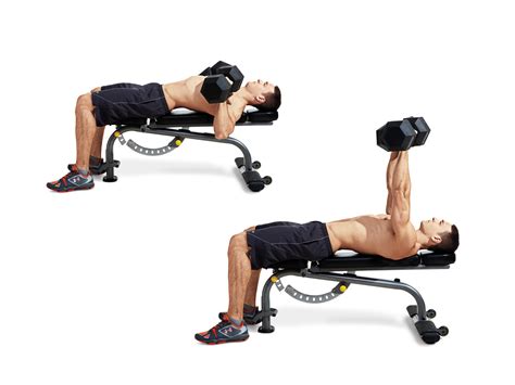 Exercise Substitutions: The Bench Press - Wynn Fitness