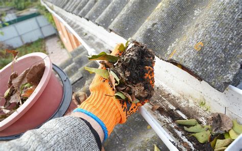 How to Clean Your Gutters | Assure Inspections Inc., Inc