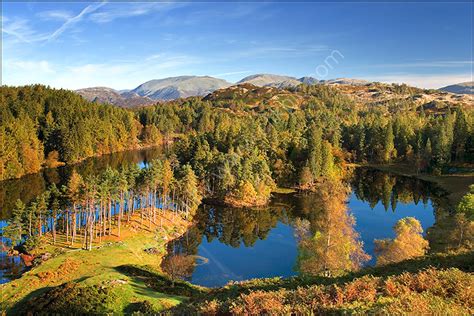 Lake District Prints : Tarn Hows in Autumn.