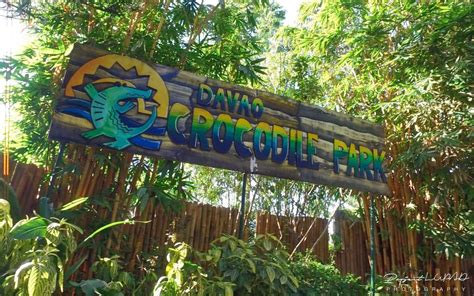 PHOTOS: Breathtaking Crocodile Park in Davao