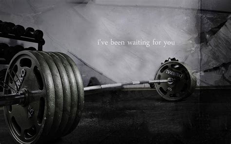 Bodybuilding quote wallpaper | other | Wallpaper Better