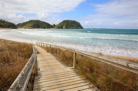 15 Of The Best NZ Beaches You Need To Visit This Summer, Auckland ...