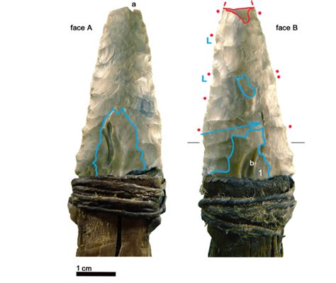 Otzi The Iceman Tools