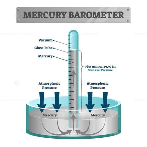 Mercury barometer vector illustration – VectorMine