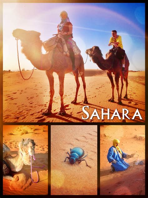 Sahara Camel Ride | aSabbatical