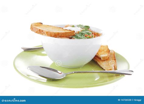 Vegetable soup and toasts stock photo. Image of nutrition - 14726530