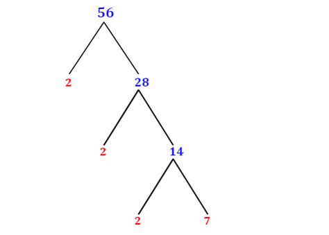 Prime Factorization of 56 with a Factor Tree - MathOnDemand.com