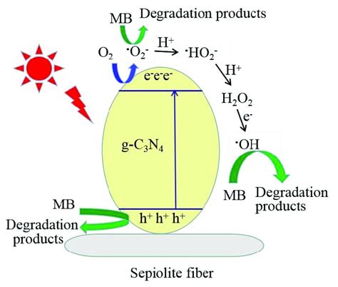 Schematic diagram of the photocatalytic degradation mechanism ...