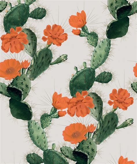 Cactus Removable Wallpaper Kingdom Home | Wallpaper iphone boho, Boho ...