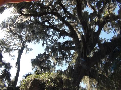 Paynes Prairie History Hike - Adventure Outpost