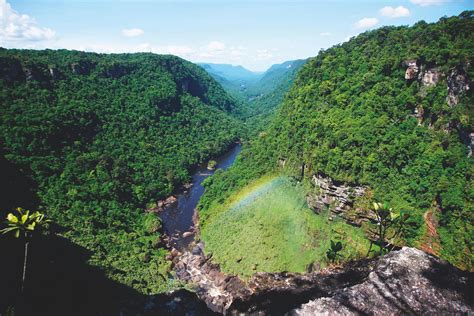 The Amazon rainforest: The wonders of Earth’s most unexplored ...