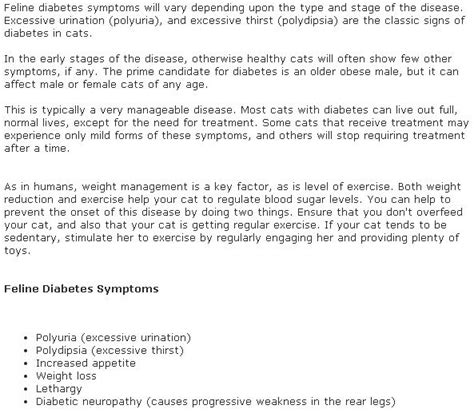 Feline diabetes symptoms