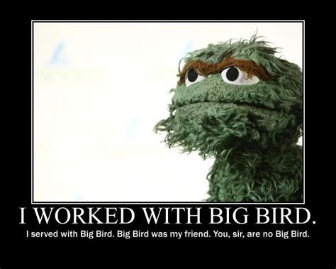 Quotes about Big Bird (41 quotes)