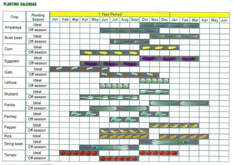 Planting Calendar for the Philippines – Duckduckbro