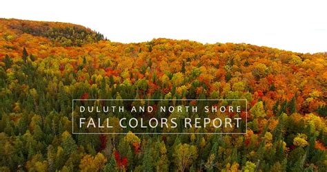 Minnesota North Shore Fall Colors Report 2019 - Perfect Duluth Day