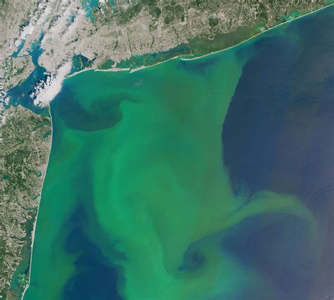 Space lasers shed new light on phytoplankton blooms - Earth.com