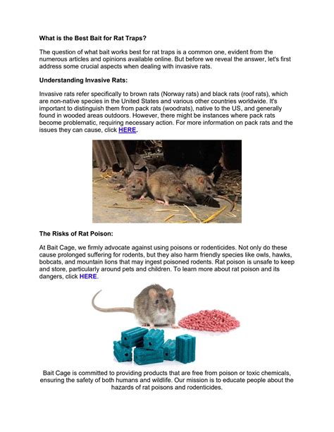 What is the Best Bait for Rat Traps? by Baitcage - Issuu