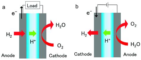 Business & Industrial Hydrogen fuel cell experimenter type I fuel cell ...