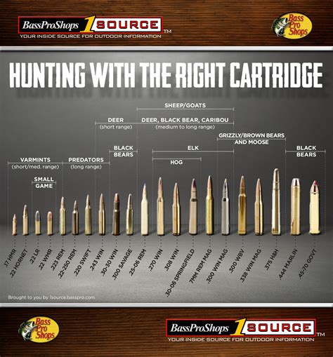 Vintage Outdoors: Some More Helpful Ammo Cartridge and Bullet Reference ...