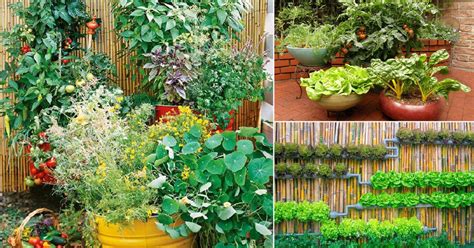 22 Stunning Container Vegetable Garden Design Ideas & Tips