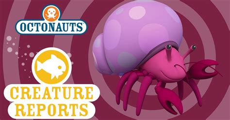 Octonauts: Creature Report - Hermit Crab - Brown Bag Labs