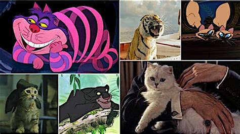 Meow Mix: The 100 Most Iconic Cats in Movies - Paste Magazine