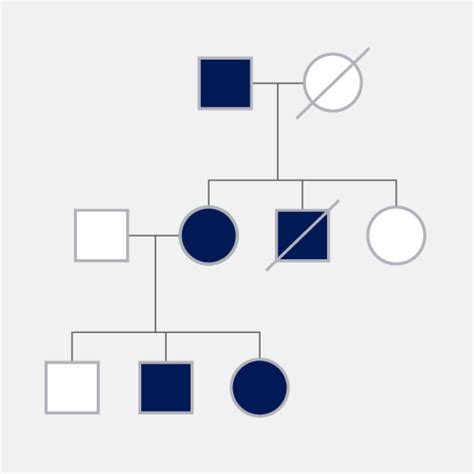 Pedigree Chart For Kids | Kids Matttroy