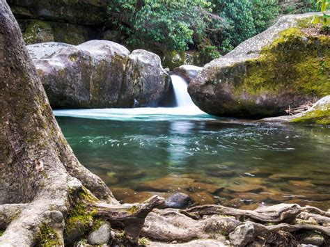 The 6 Best Great Smoky Mountains Waterfalls and Swimming Holes