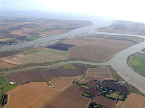 Wallasea Island Wild Coast project's Jubilee Marsh officially opened ...